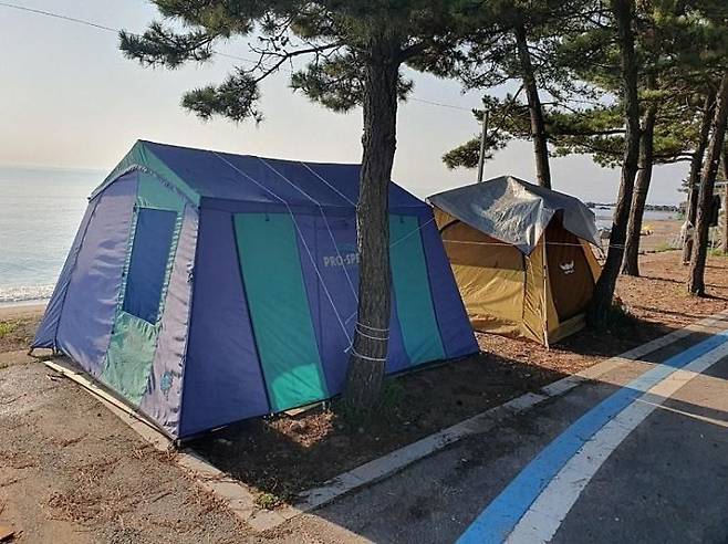 한 해수욕장 도로 인근에 텐트가 설치돼 있는 모습. 온라인 커뮤니티 캡처