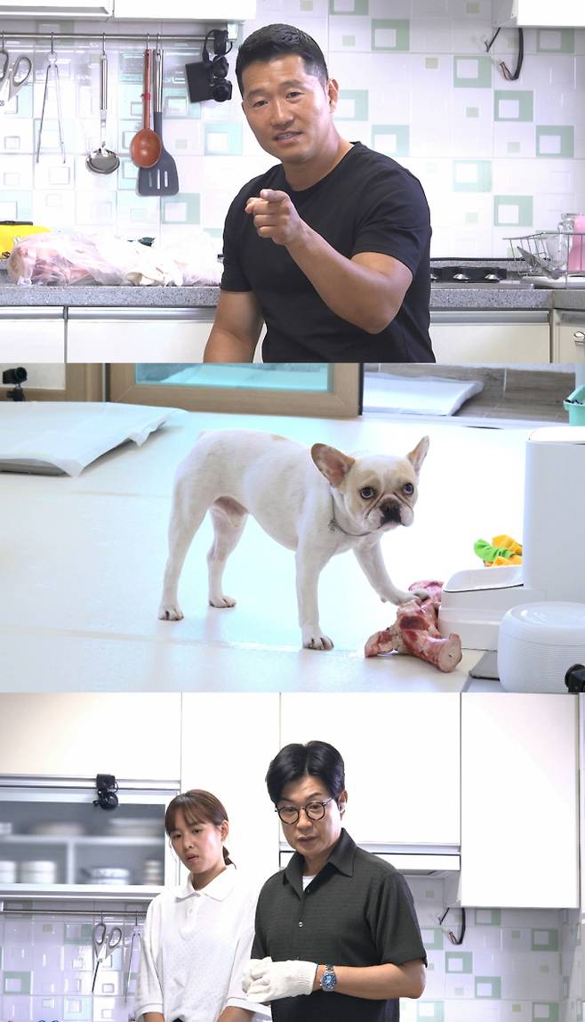 ‘개와 늑대의 시간’(이하 개늑시) (제공: 채널A)