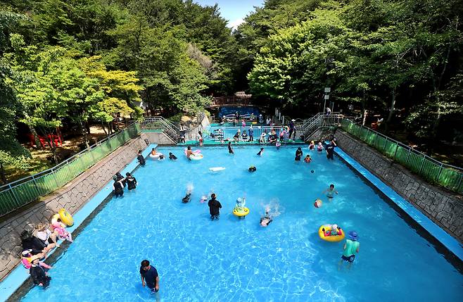 지난 3일 가족 단위 피서객들이 상소동 산림욕장에 마련된 숲속 물놀이장에서 물놀이를 즐기며 휴식을 취하고 있다. /신현종 기자