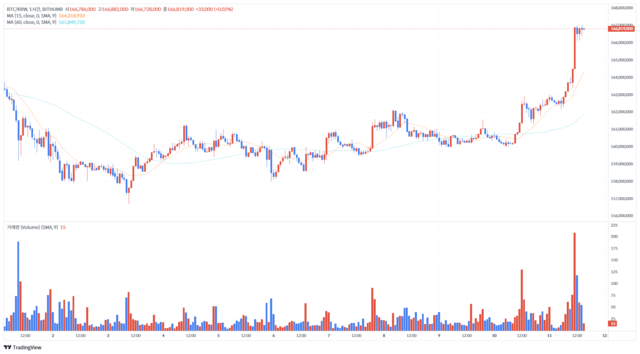 11일 업비트와 빗썸 등 국내 디지털자산 거래소에서 비트코인 가격이 사상 최고가를 경신했다. [빗썸 차트 캡처]