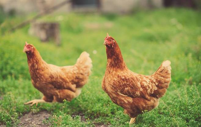 사진은 기사와 무관. /사진=게티이미지뱅크