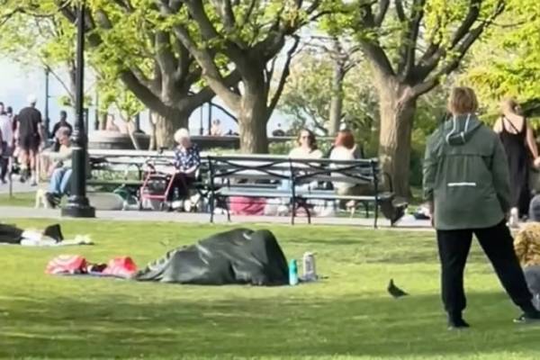 미국 뉴욕 맨해튼 남쪽에 있는 배터리 파크에서 대낮에 담요를 뒤집어쓰고 성관계를 하는 듯한 모습이 포착됐다. 사진은 미국 뉴욕 한 공원에서 남녀 커플이 담요를 뒤집어 쓴 모습. /사진=틱톡 캡처