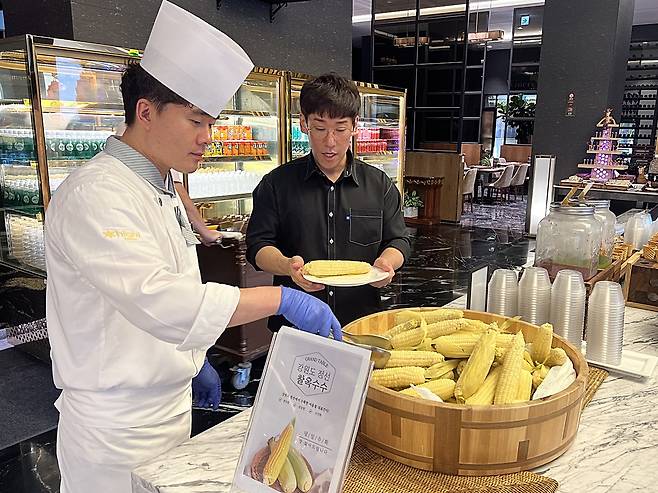 강원랜드는 청정생태에서 자란 지역 옥수수 3만개를 구입해 손님들에게 나눠주고 있다.