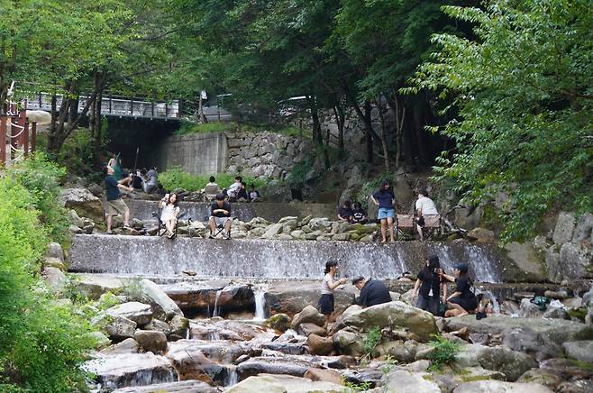 정선 사북의 도사곡 휴양림은 숨은 보석같은 곳이다.