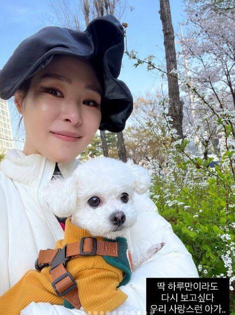 미자 소셜네트워크서비스 계정