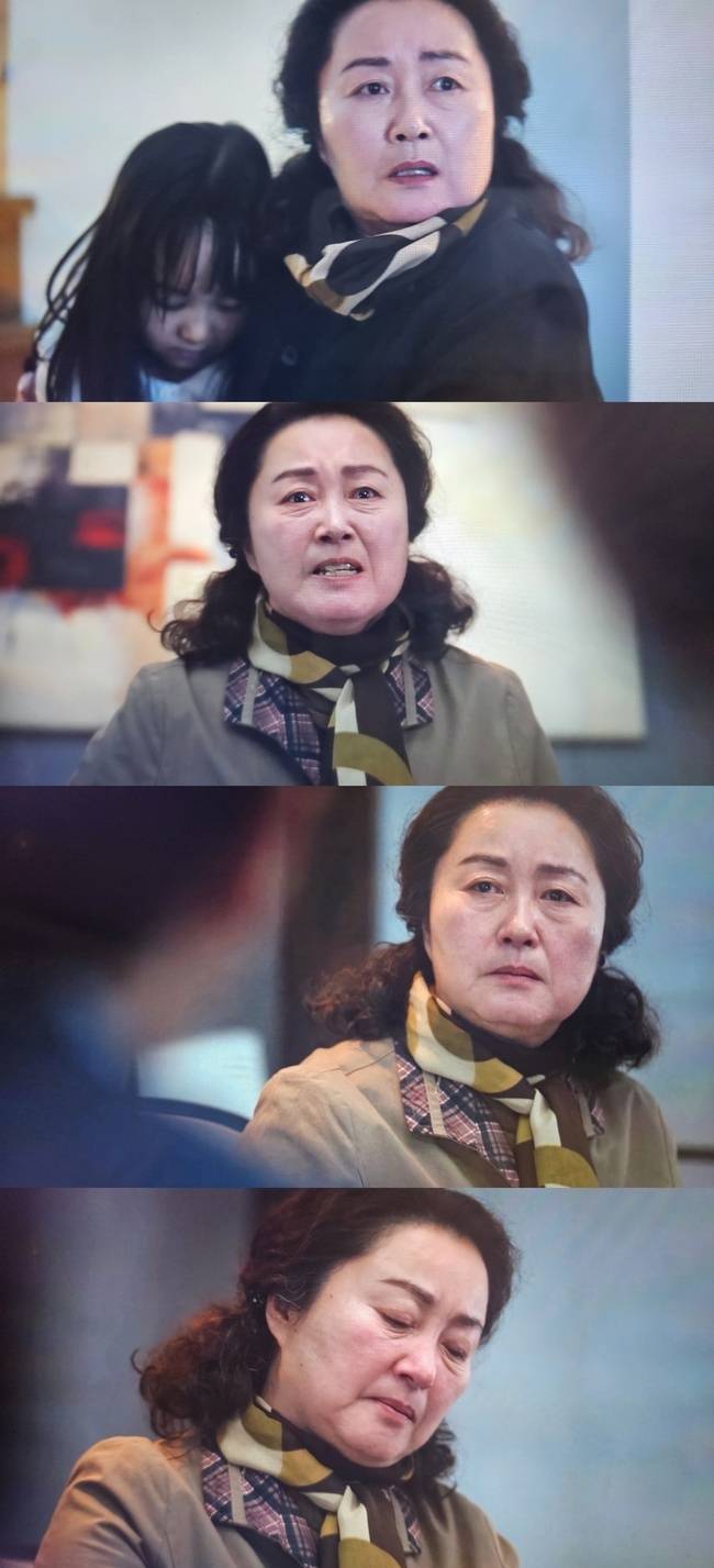 사진=JTBC 토일드라마 ‘에스콰이어: 변호사를 꿈꾸는 변호사들’ 제공