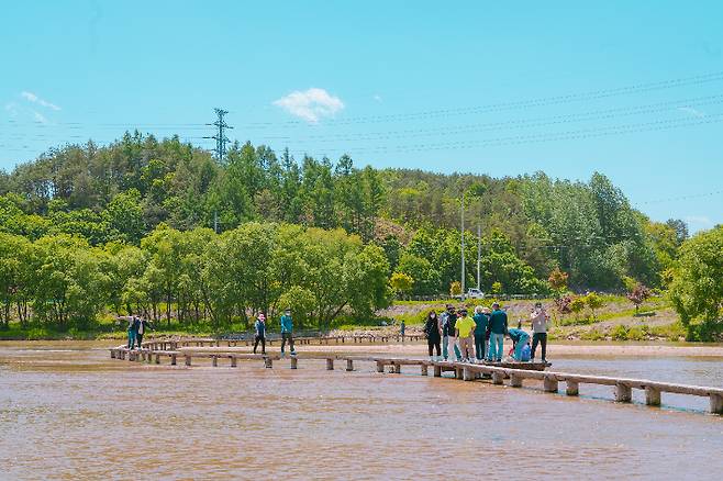 영주 무섬마을 외나무다리를 건너는 사람들. 경북문화관광공사 제공