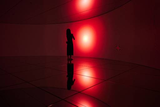 김희영·엔에이유, ‘우리는 별의 먼지다’.&nbsp;포도뮤지엄 제공