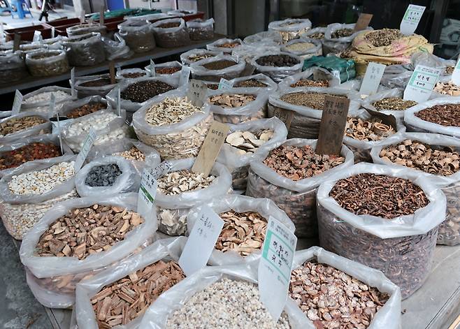 8월4일 서울 동대문구 약령시장에서 다양한 한약재를 판매하고 있다. ⓒ시사저널 박정훈