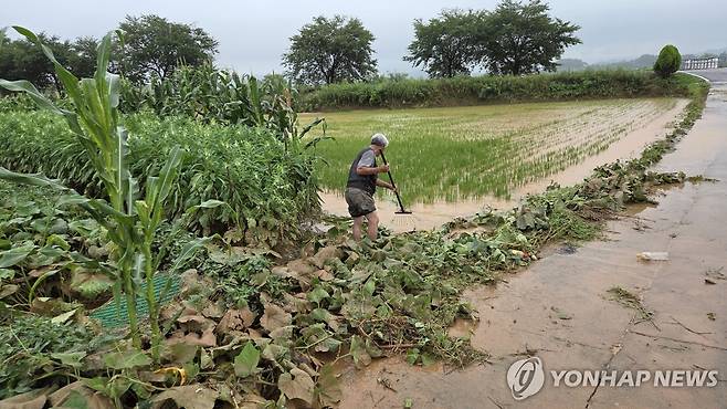 극한호우에 잠긴 서산 농경지 [연합뉴스 자료사진]