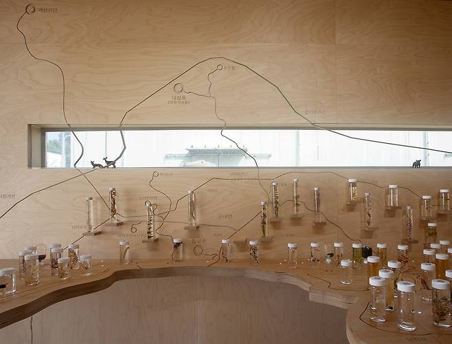 박준식의 '비옥한 땅에 핀 꽃' [경기도 제공. 재판매 및 DB 금지]