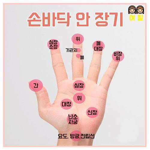 간단히 따라할 수 있는 손바닥 지압법 | 오늘의 정보