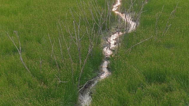 ▲ 소수빈 作, 우리 공동의 미래_지속가능한 살림살이, 2025