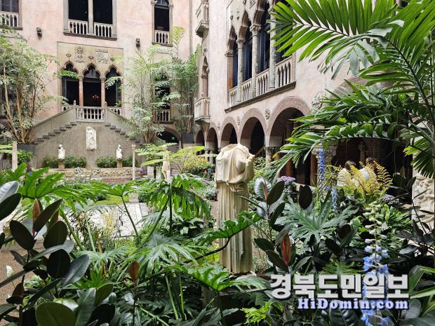 수목으로 우거진 하버드대.