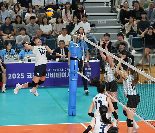 한국 여자배구대표팀이 아르헨티나에 1-3으로 패했다.(대한배구협회 제공)