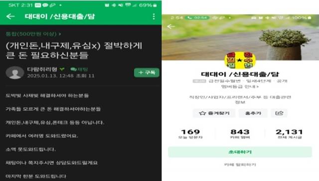 SNS 인터넷 광고 사례. [금융감독원 제공]