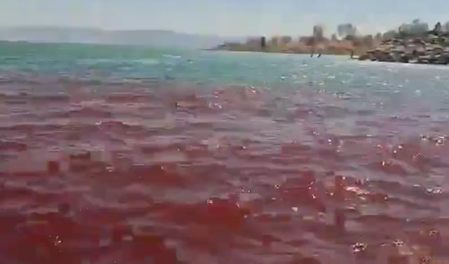 이스라엘 북부에 위치한 성경 속 갈릴리 호수. 이스라엘 자연 및 공원 관리청