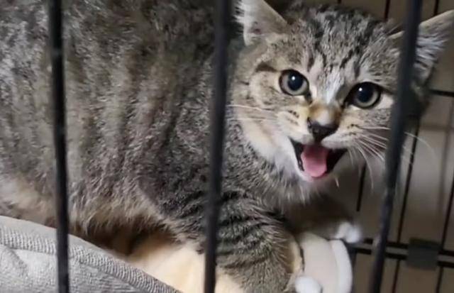 표정에서 느껴지는 경계심!