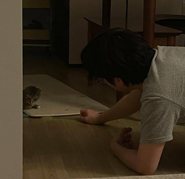 고양이 때문에 울어본 적 있는 사람? 나야 나