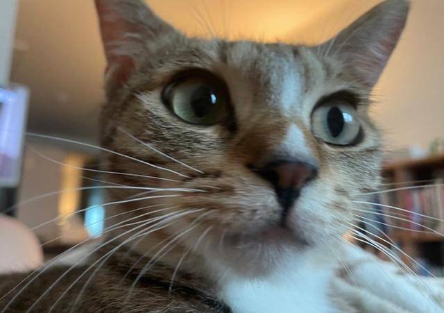 고로와 가족이 되어 행복해요!