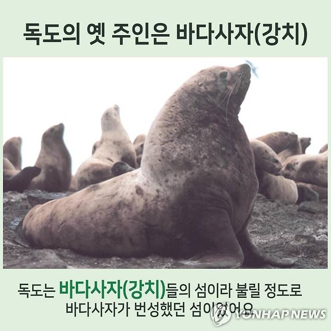 독도 바다사자 '강치' [해양수산부 제공]