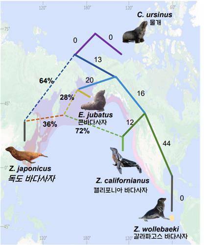 강치와 물개류의 서식지와 진화도 [국립수산과학원 제공. 재판매 및 DB 금지]