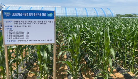 작물별 우분 바이오차의 최적 활용 기술을 연구 개발 중인 밭.