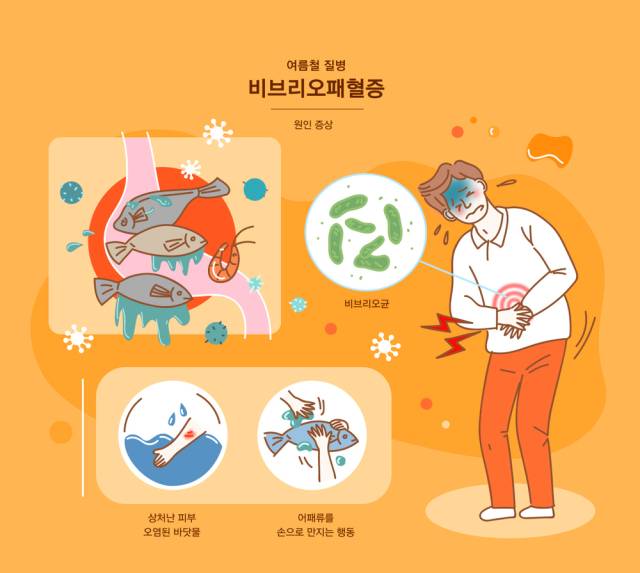 클립아트코리아 제공,