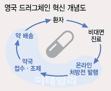 그래픽=이데일리 이미나 기자