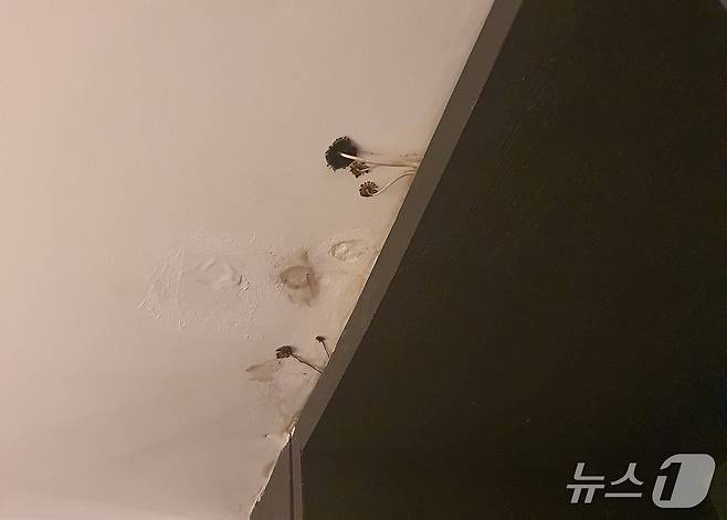 (블라인드 갈무리)