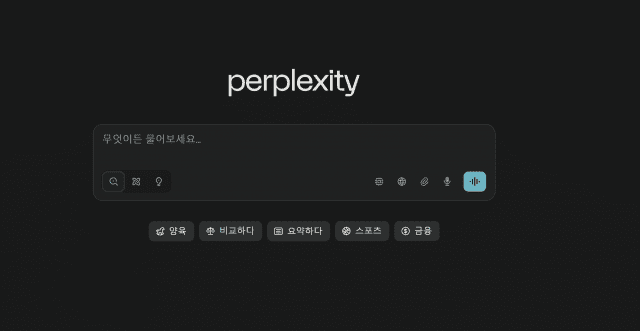 퍼플렉시티 캡처.