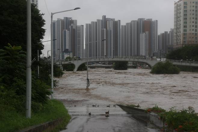 ▲ 수도권에 집중호우가 쏟아진 13일 경기도 의정부시 중랑천에서 물이 불어나 있다 [연합뉴스]&nbsp;