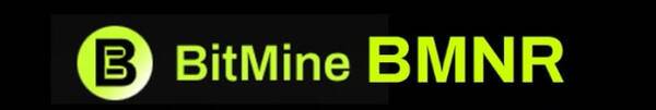 비트마인 CI. 홈페이지