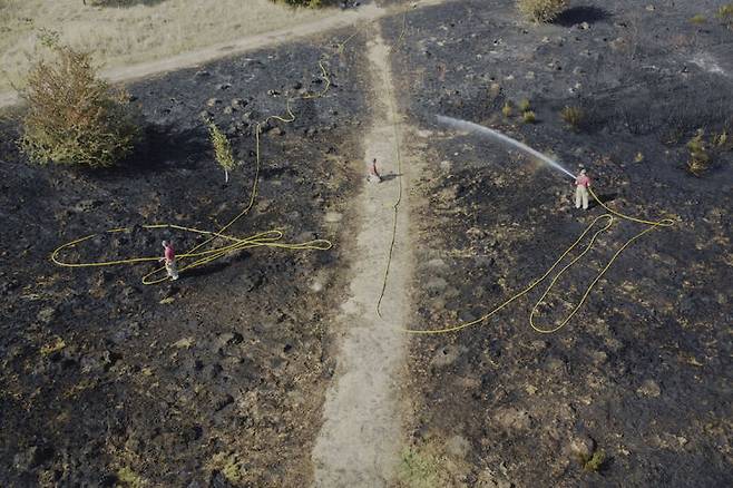 [런던=AP/뉴시스] 12일(현지 시간) 영국 런던 완스테드 플랫에서 산불이 발생해 소방대원들이 화재 진압을 하고 있다. 2025.08.13.