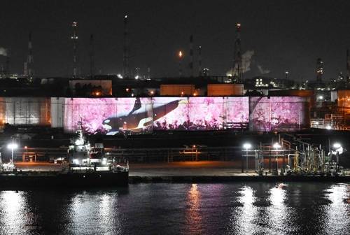 저유탱크를 미디어파사드로…장생포 라이트 운영 (울산=연합뉴스) SK이노베이션 울산콤플렉스(울산CLX)는 울산시 남구와 함께 석유제품 저장탱크를 상설 미디어 파사드로 탈바꿈한 '장생포 라이트'(JSP Light)를 8일부터 17일까지 시범 운영한다. 사진은 불 밝힌 장생포 라이트 모습.  [SK이노베이션 울산콤플렉스 제공] <저작권자(c) 연합뉴스, 무단 전재-재배포, AI 학습 및 활용 금지>