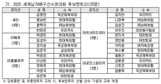 대한배구협회 제공
