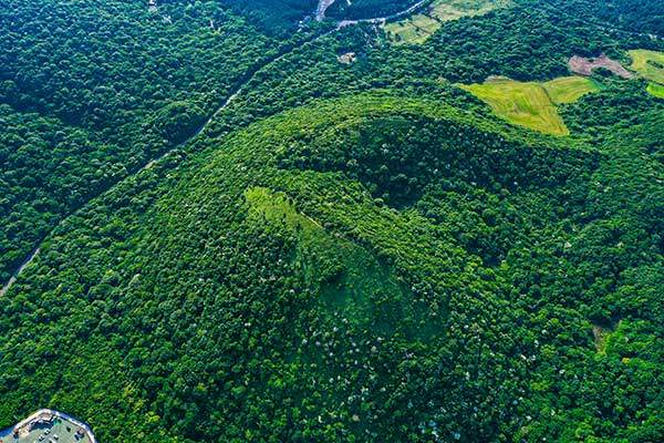 봉개동 민오름과 명림로. 그 사이 천연의 숲을 헤집으며 절물조릿대길이 지난다.