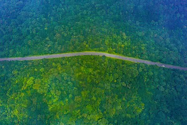 절물오름과 봉개동 민오름 사이를 지나는 명림로. 숲의 바다를 지나는 뱃길 같다.