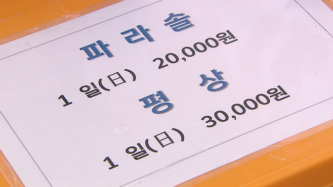 가격이 인하된 파라솔과 평상 요금