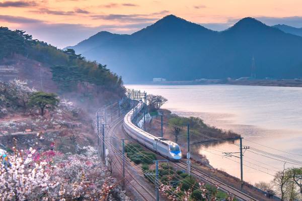 한국철도공사(코레일)가 운행하는 KTX.