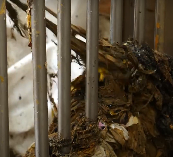 하수처리 과정에서 쌓인 물티슈 쓰레기 모습 [유튜브채널 김해시TV 캡쳐]