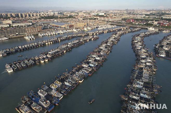 [샤먼=신화/뉴시스] 8월 12일  중국 푸젠성 샤먼항에 대피한 선박들이 제11호 태풍 '버들'의 접근에 대비해 정박해 있다. 2025.08.14.