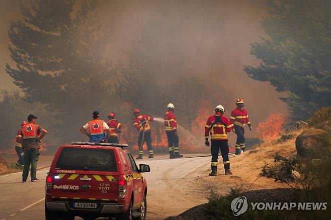 산불을 진화하는 포르투갈 소방대원 [EPA 연합뉴스 자료사진 재판매 및 DB 금지]