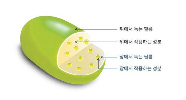 다층정 소화제의 구조┃출처: 하이닥