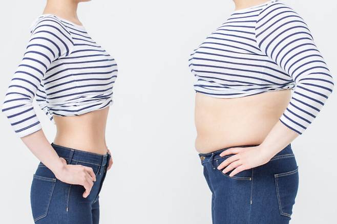 과체중이나 비만은 유방암, 대장암, 식도암, 담낭암 등 13가지 암 위험을 높인다. 몸속 체지방이 암을 유발하는 원인 중 하나로 꼽힌다. [사진=클립아트코리아]
