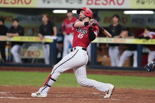 위즈덤/KIA 타이거즈