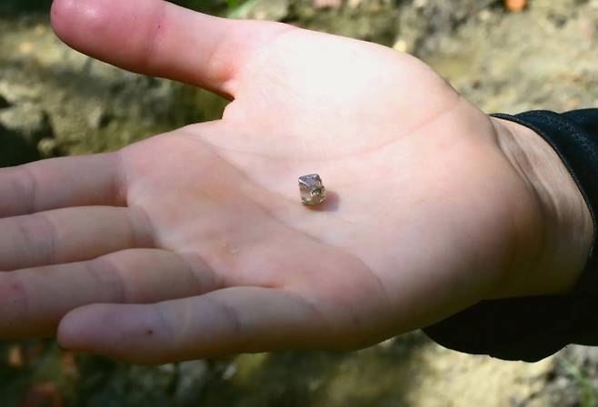 미셸 폭스가 발견한 2.3캐럿 다이아몬드. 아칸소 주립공원 제공
