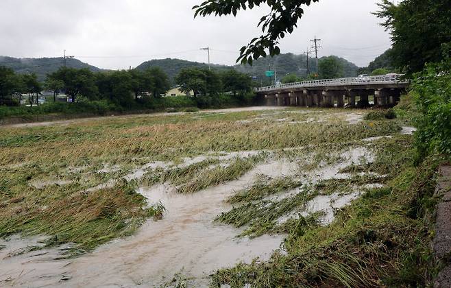 파주시는 파평면 눌노천이 계획홍수수위 5.1m를 넘어서자 한때 대피 명령 재난 문자를 발송했다. 다행히 눌노천 수위가 하강하며 14일 오전 해제됐다. 사진은 14일 폭우가 휩쓸고 간 눌노천의 모습. (사진=연합뉴스)