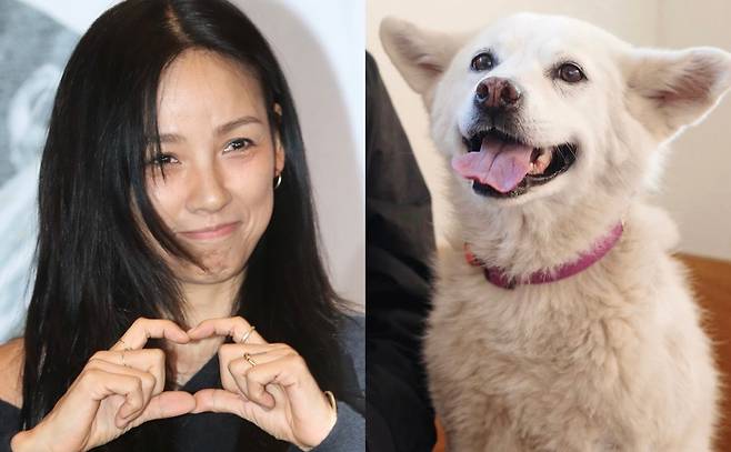 가수 이효리가 10년 넘게 함께한 반려견 석삼이를 떠나보냈다. 뉴스1, 이효리 인스타그램 캡처