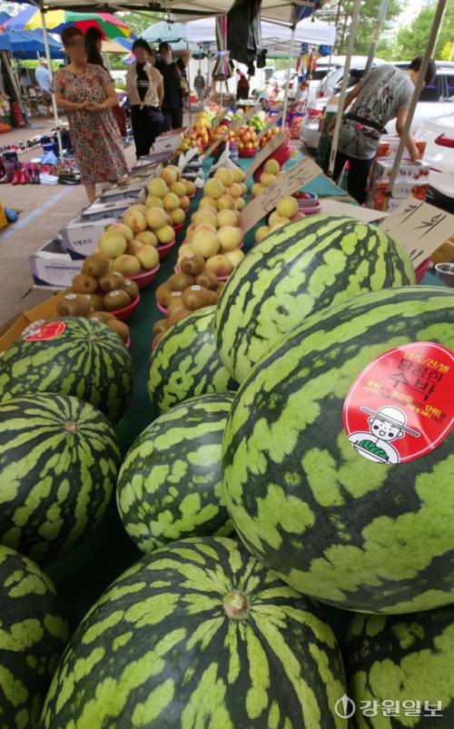 이번 여름 기록적인 폭염과 폭우로 수박, 복숭아 등 여름과일 작황이 부진해 가격이 크게 오른 가운데 17일 춘천 풍물시장에서 시민들이 과일판매대 앞을 지나쳐 가고 있다. 박승선기자